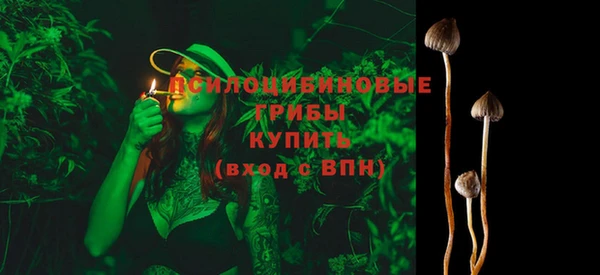 скорость Горняк