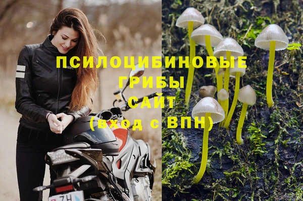 гашик Горно-Алтайск