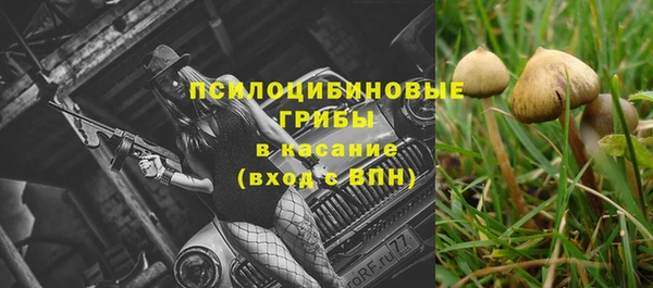 скорость Горняк